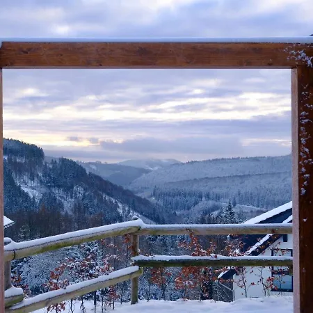 Luxury With Wood Stove, Area At 200m Hébergement de vacances Winterberg